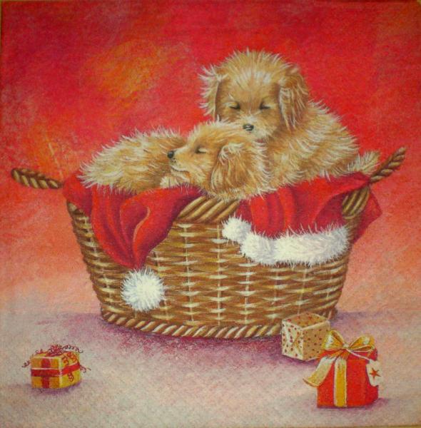 050 Hunde